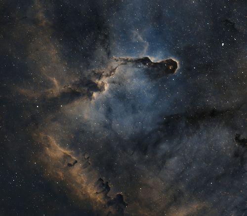 Elephant trunk nebula, Cepheus