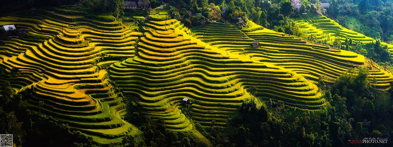 Golden Rice Terraces
